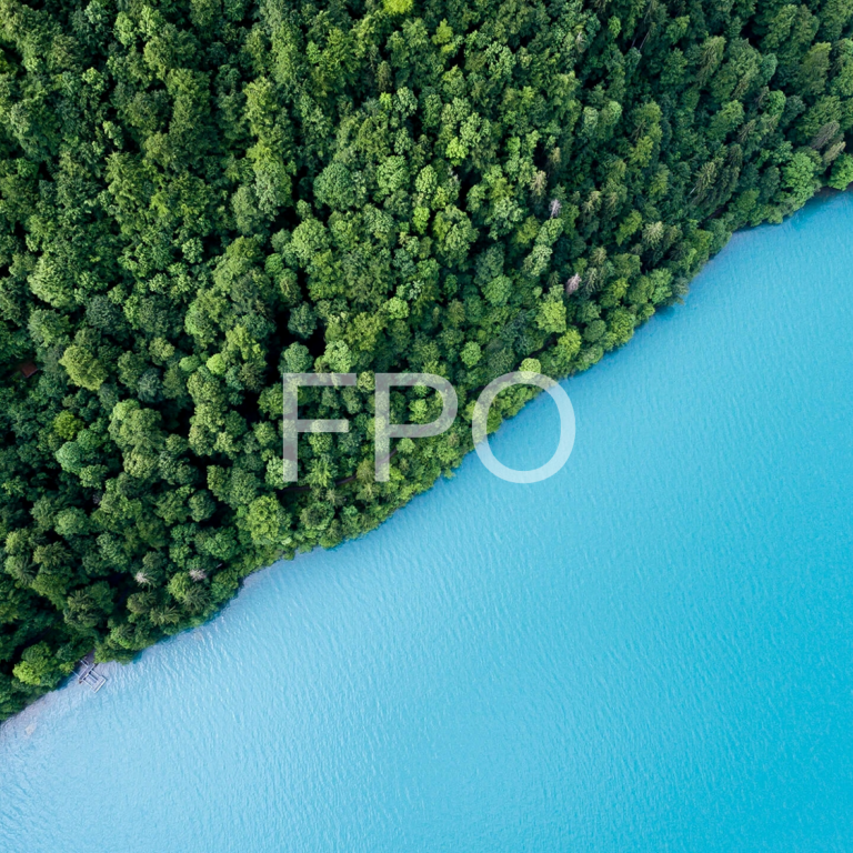 FPO 6